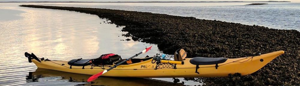 I'd Paddle It ~ Guided Kayak Tours